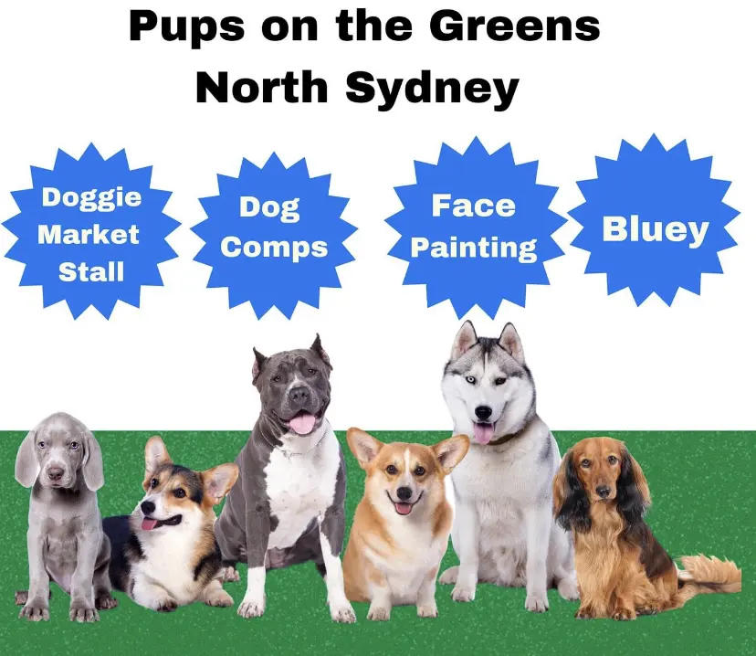 Dogs In the Park NSW Festival -  Sun 10th Sept