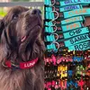 3. Personalised DOG Collars thumbnail