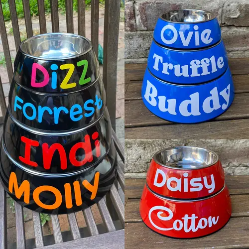 Pet Name Bowl – For Dogs & Cats