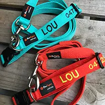 Personalised Pet Collars