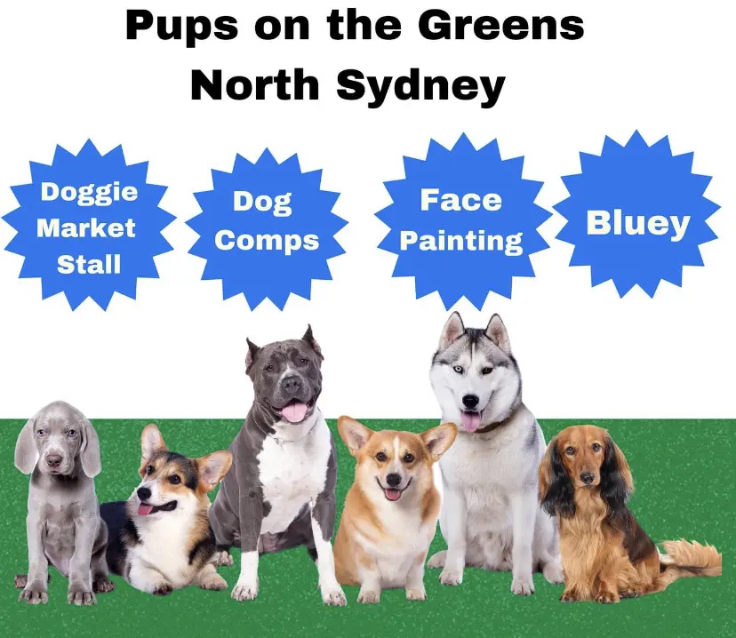 Dogs In the Park NSW Festival - Sun 10th Sept Dogs In the Park NSW Festival - Sun 10th Sept