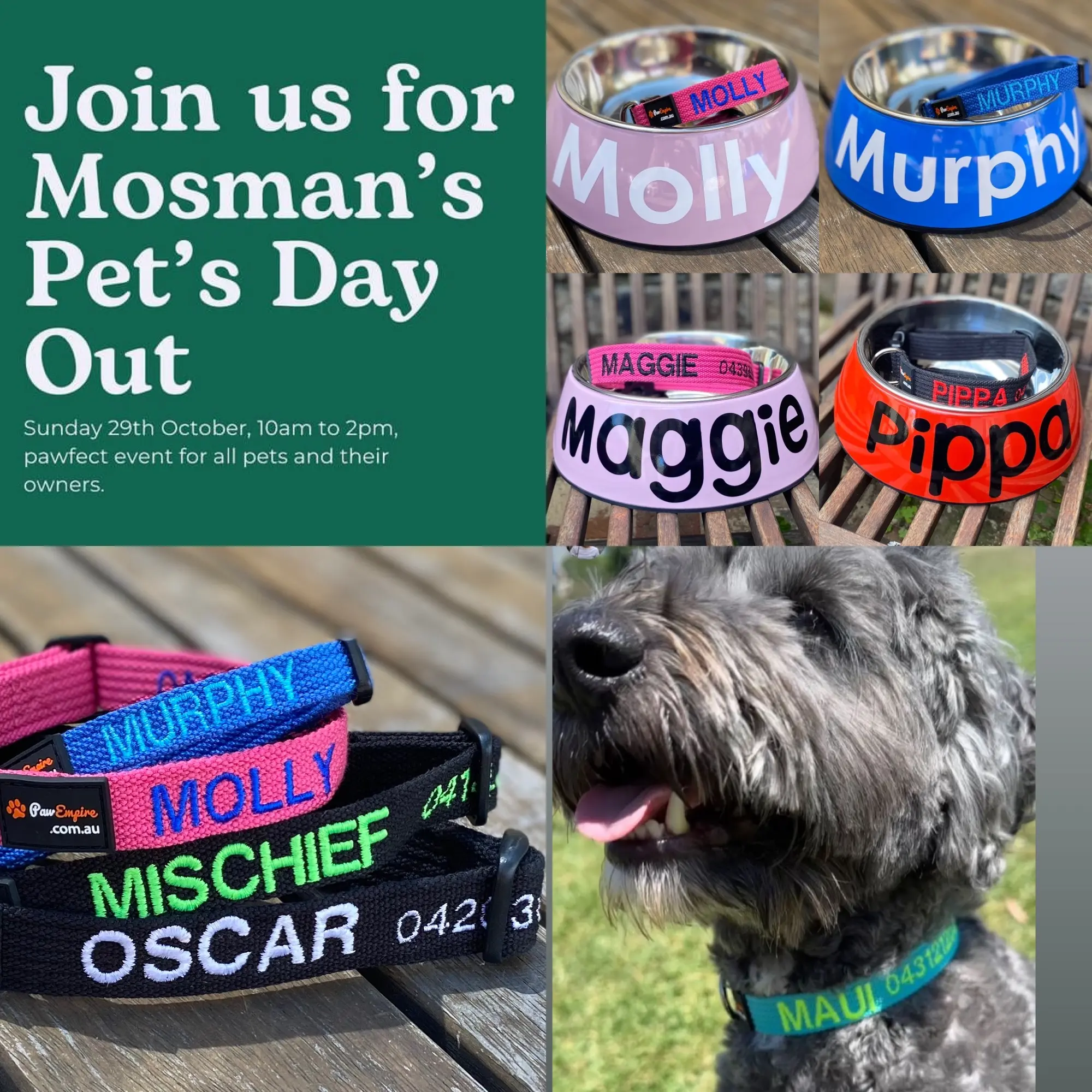 Mosman Pets Day Out. Sun 29th October 2023 Mosman Pets Day Out. Sun 29th October 2023