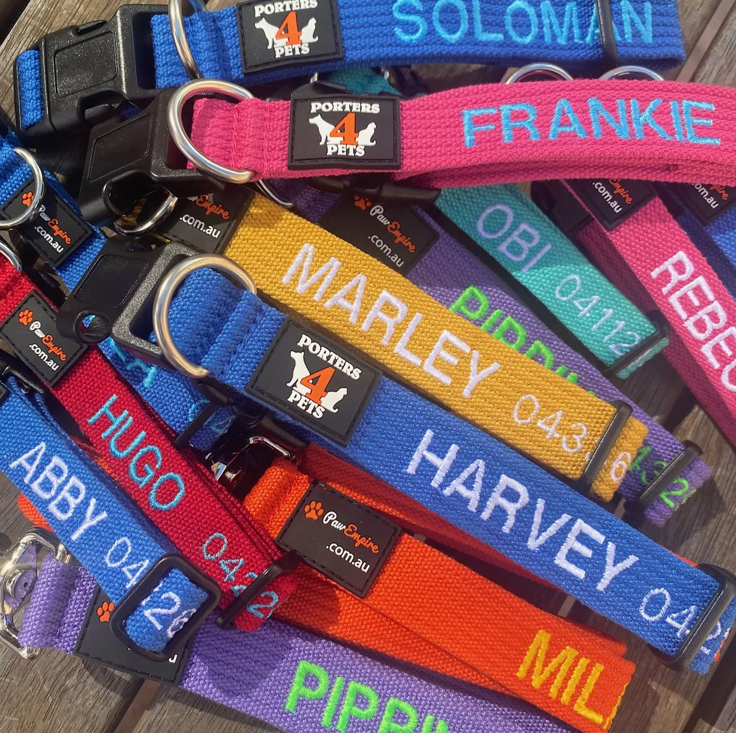 Mosman Pets Day Out Sun 2nd November 2025 Mosman Pets Day Out Sun 2nd November 2025