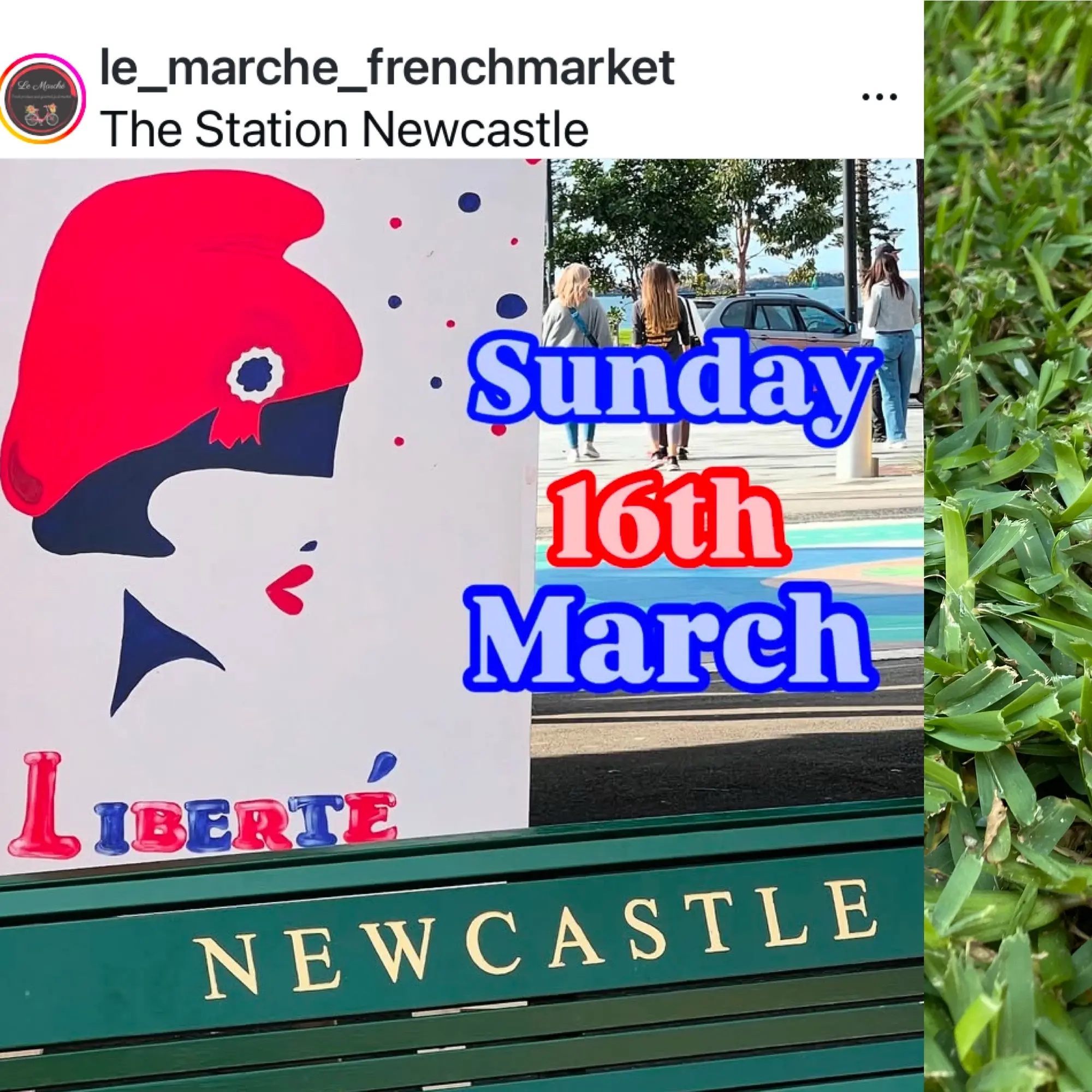 Le Marche - Newcastle Sunday 16th March 2025 Le Marche - Newcastle Sunday 16th March 2025