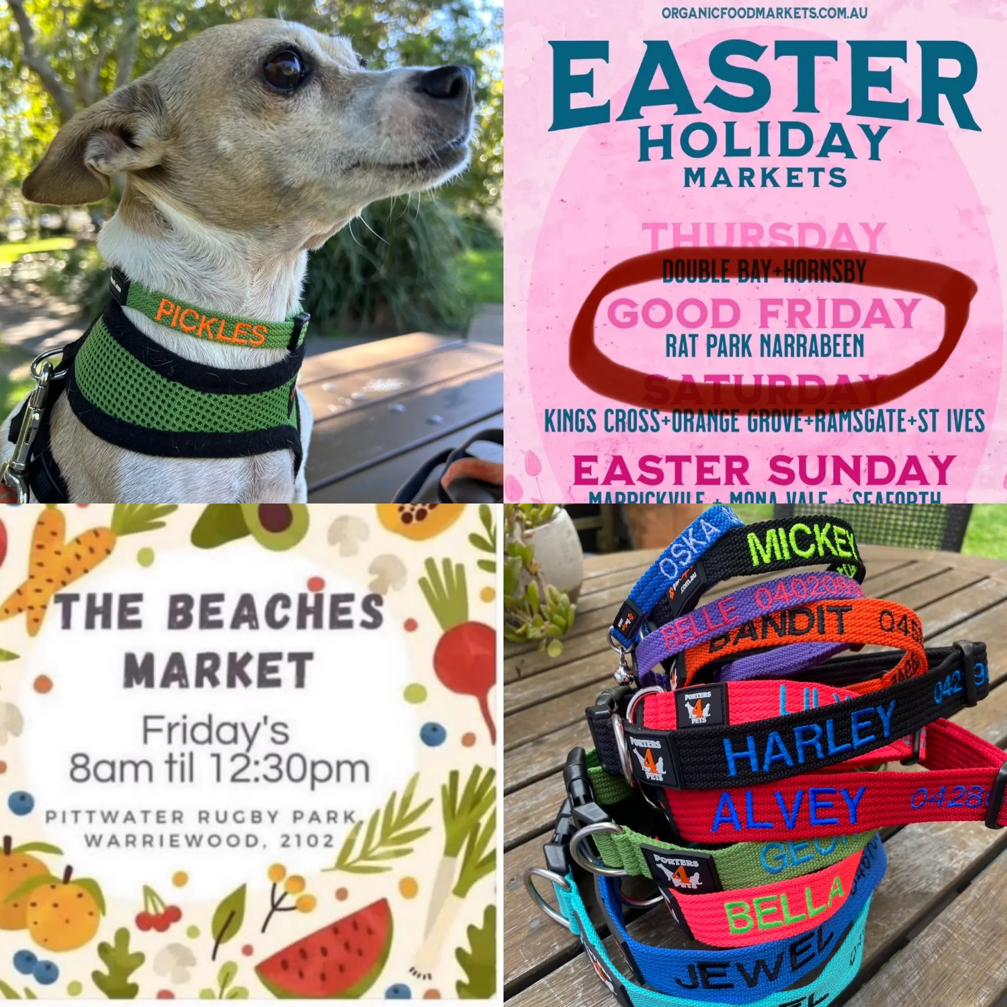 Good Friday 2025 - 18th April - Narrabeen
