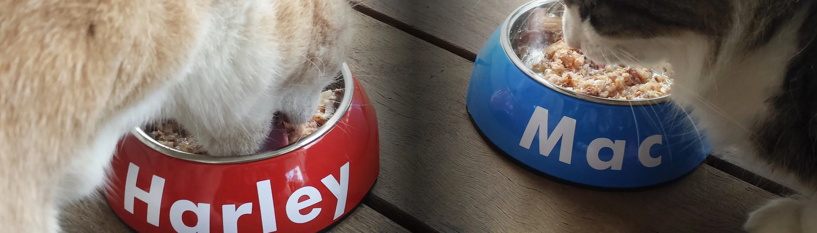 Pet Bowls