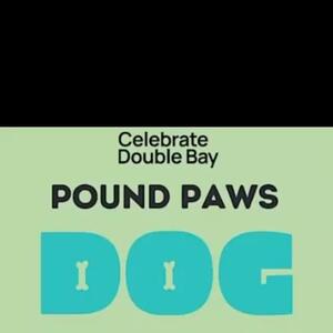 #porters4pets #sydneylocal #poundpaws #porters4petsembroideredcollars #porters4petscollars