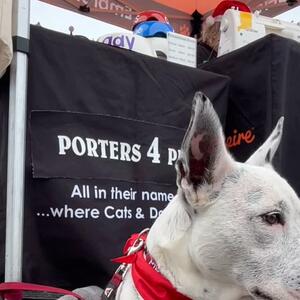 The joy of photography with Dogs! ….I am blissfully unaware behind while I embroider collars @le_marche_frenchmarket #woolwichdock @raacheei @porters4pets #porters4pets #porters4petsembroideredcollars #sydneylocal #porters4petscollars
