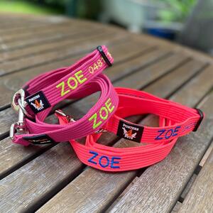 @zoethecobberdog has her new outfits ready for adoption day 😊 #porters4pets #porters4petsembroideredcollars #personaliseddogcollar #sydneylocal #canberradogs #cobberdogsofinstagram