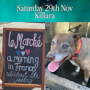 Saturday 29th Nov. Embroidering Personalised Dog & Cat collars on the day.
