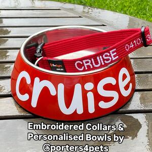 #cruise #cruisethedog #dogsofwa #porters4pets #porters4petsembroideredcollars #porters4petspersonalisedbowls #cafepetbowlsbyporters4pets