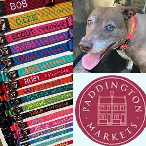 Saturday 11th April @paddingtonmarkets embroidering collars on the spot! #porters4pets #porters4petscollars #sydneylocal #paddingtonmarkets