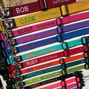 Embroidered collars by Porters 4 Pets #sydneylocal #smallbusiness #porters4pets #dogsofinstagram #catsofinstagram