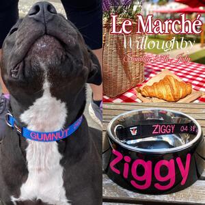 🐾 TOMORROW at Le Marche Willoughby! 🇫🇷
Get your dog collars embroidered on the spot — for your furry friend! 🐶✨
Plus, feast on authentic French food and soak in the Parisian market vibes. 🥐🧀🍇
📍 Willoughby | ⏰ Don’t miss this local favourite!

#LeMarcheWilloughby #FrenchMarket #DogLovers #EmbroideredCollars #PetStyle #FurryFriends #WilloughbyEvents #SupportLocal #sydneylocal #porters4pets #porters4petsembroideredcollars