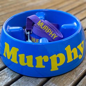 A couple of Murphy’s out there that love their Tucker! #antiscoffbowl #goslowbowl #murphy #murphythedog