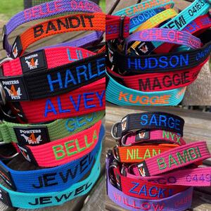 Porters 4 Pets Collars—personalised, embroidered, and built for adventure.

✨ Why you’ll love them:
• Custom embroidery with your dog’s name & your phone number 
• Durable spun-polyester that’s perfect for swimming
• Stainless-steel D-ring & quick-release buckle
• Machine-washable—ideal for everyday park wear, beach days, doggy daycare, farm trips, or boarding school