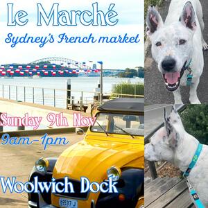 @le_marche_frenchmarket This Sunday at Woolwich Dock. Embroidering collars on the spot and so much more!!! Best location in Sydney #woolwichdock #lemarché #porters4pets #sydneydogs #sydneylocal
