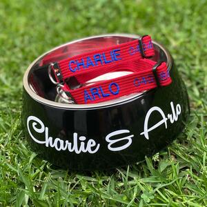 #Charlie #arlo are a couple of very loved dogs #porters4pets