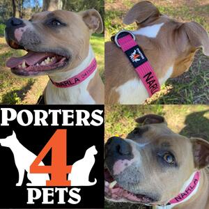 We love Narla ❤️ #narla #innerwestdogs #porters4pets  #sydneylocal #welovenarla