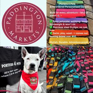 Saturday 7th February @paddingtonmarkets embroidering collars on the spot 🐾 #porters4pets #personaliseddogcollar #paddingtonmarkets #sydneylocal