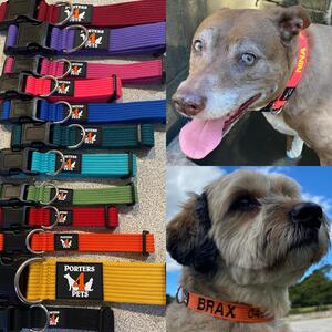 12 collar colours to choose from! Personalised embroidered collars, made from durable but soft spun polyester, stainless steel D-ring! Great for outdoors fun and swimming….can be machine washed to bring back to clean 😃 #porters4pets #porters4petscollars #porters4petsembroideredcollars #porters4petspersonalisedcollars #sydneylocal #sydneydogs #dogcollars