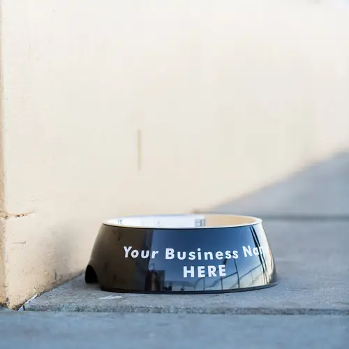 4. Café & Business Pet Bowl – For Dogs & Cats thumbnail